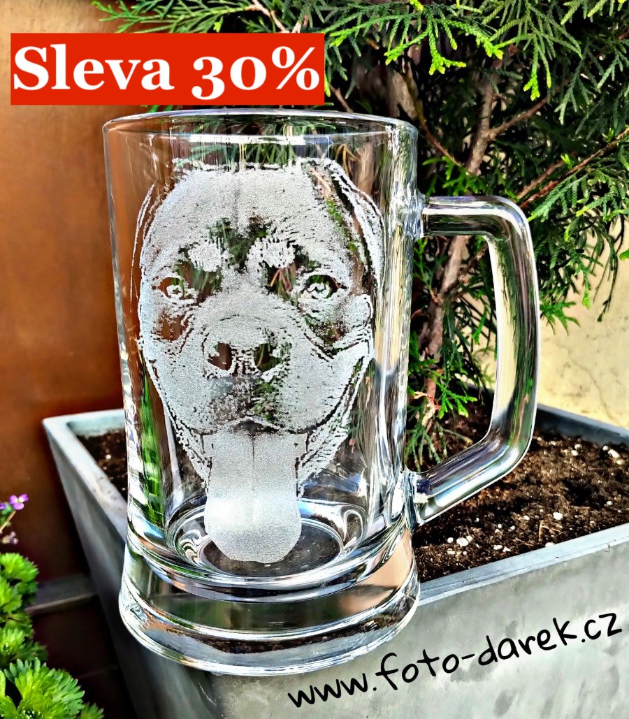 Skleněný pivní krýgl s fotkou, krýgl s fotografií - 500ml
